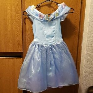 Disney Cinderella Costume
